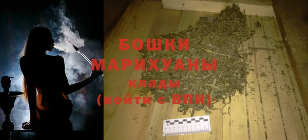 шишки Корсаков
