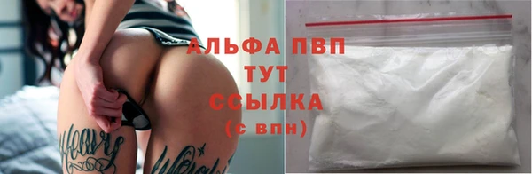 шишки Корсаков