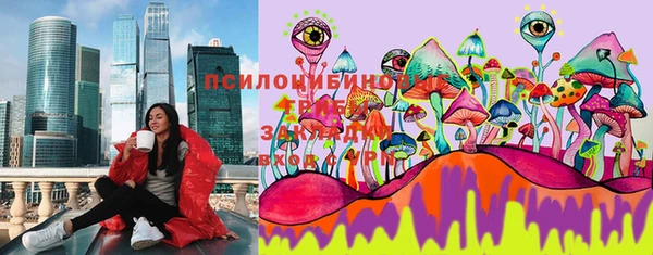 шишки Корсаков