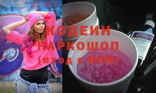 шишки Корсаков