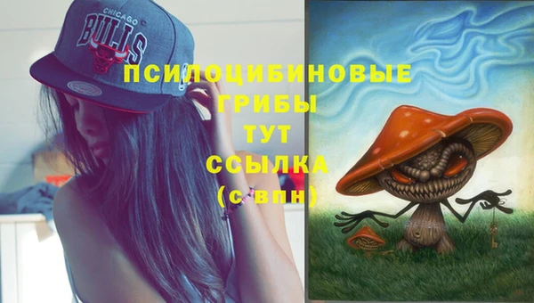 экстази Коряжма