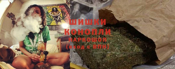 шишки Корсаков