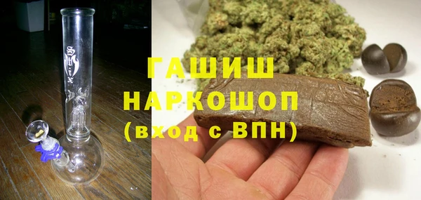 шишки Корсаков