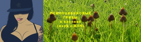 шишки Корсаков