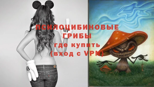 экстази Коряжма