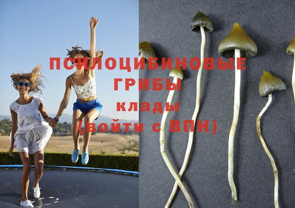 mdma Костерёво