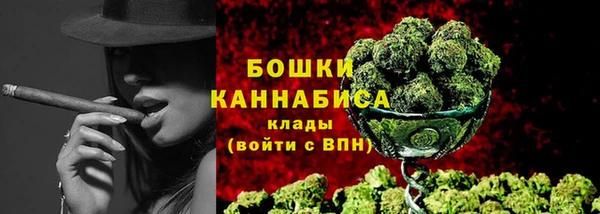 шишки Корсаков