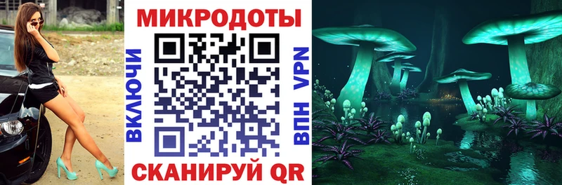Псилоцибиновые грибы Psilocybe  Купить где  Полярные Зори 